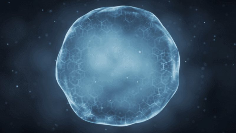 微生物培养基：揭秘十大品牌背后的技术秘密**