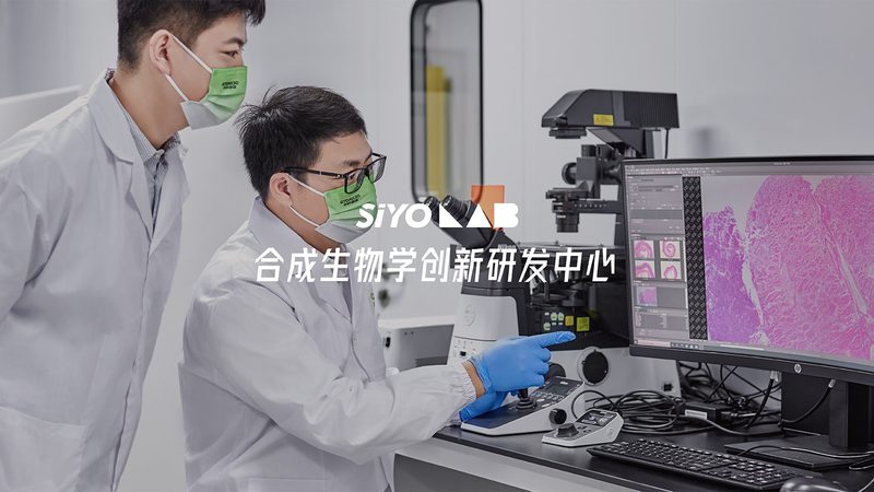 酶：生命活动中的“催化剂”**