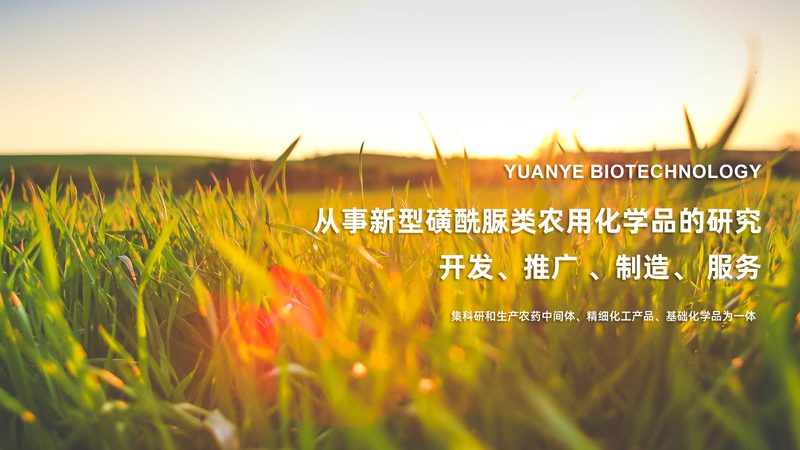CRo优化流程：揭秘生物制药研发的效率加速器