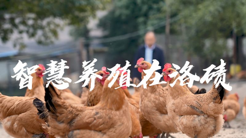 PCR检测试剂盒生产设备清单