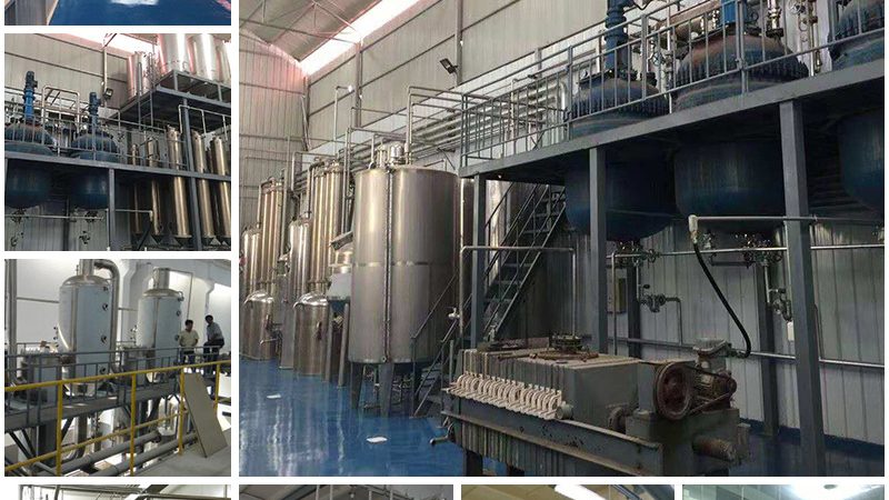 细胞培养基：揭秘种类分类与关键应用场景