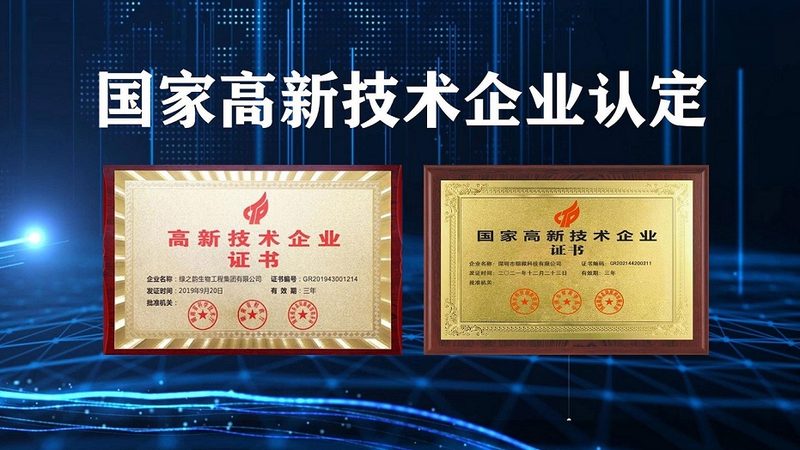 CDMO代工流程解析：关键环节与注意事项